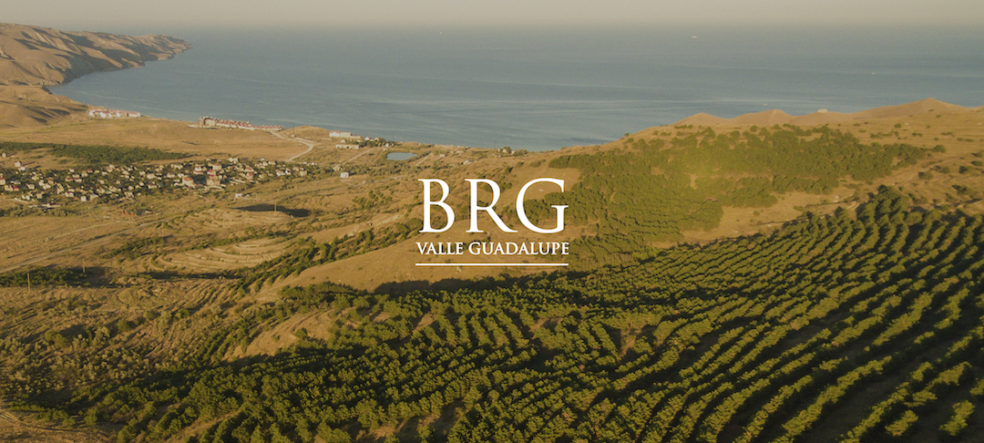BRG Valle Guadalupe